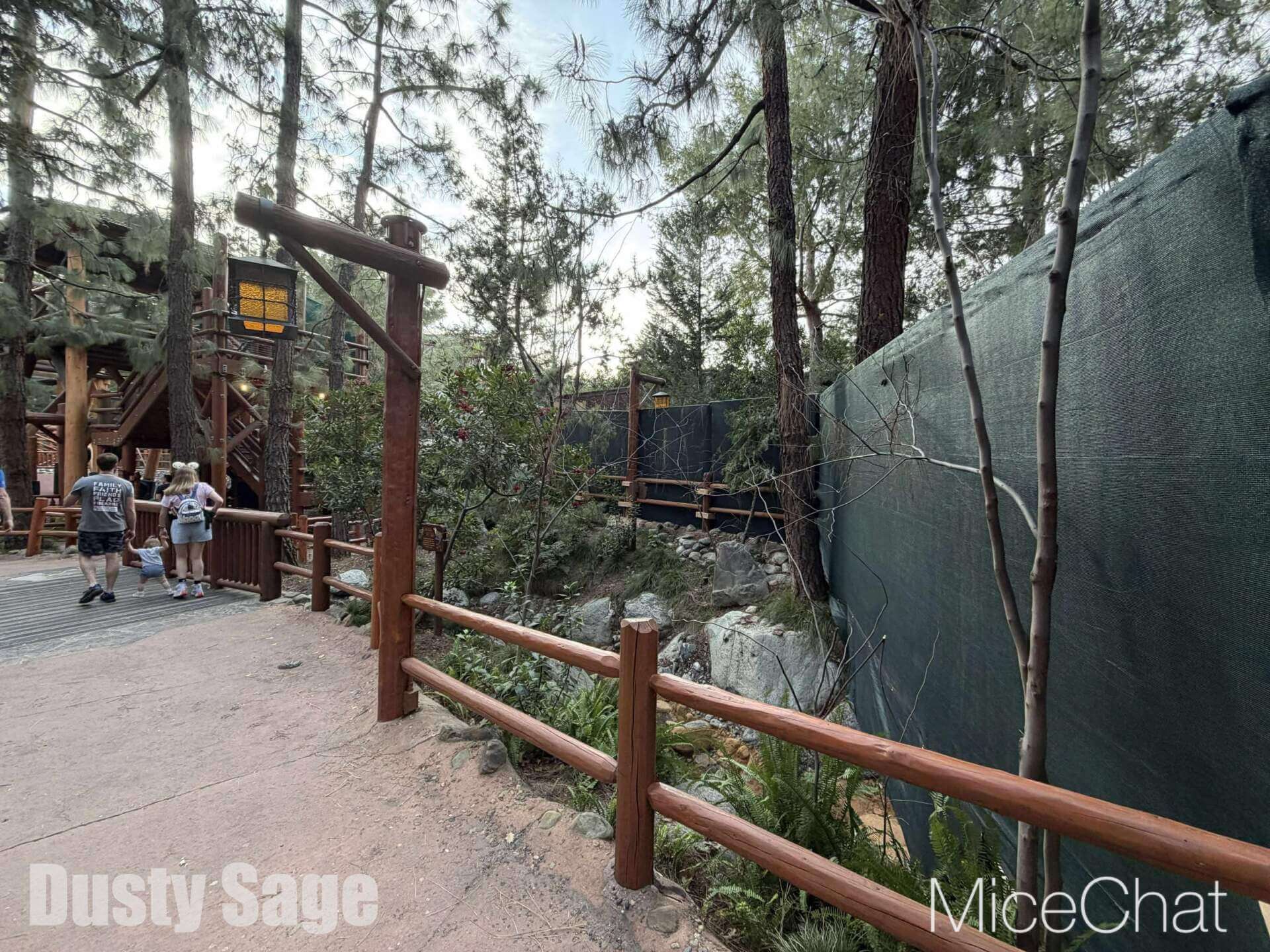 , DISNEYLAND UPDATE: CEO Shock, Napa Rose Reborn & DCA’s 25th Birthday Bash!