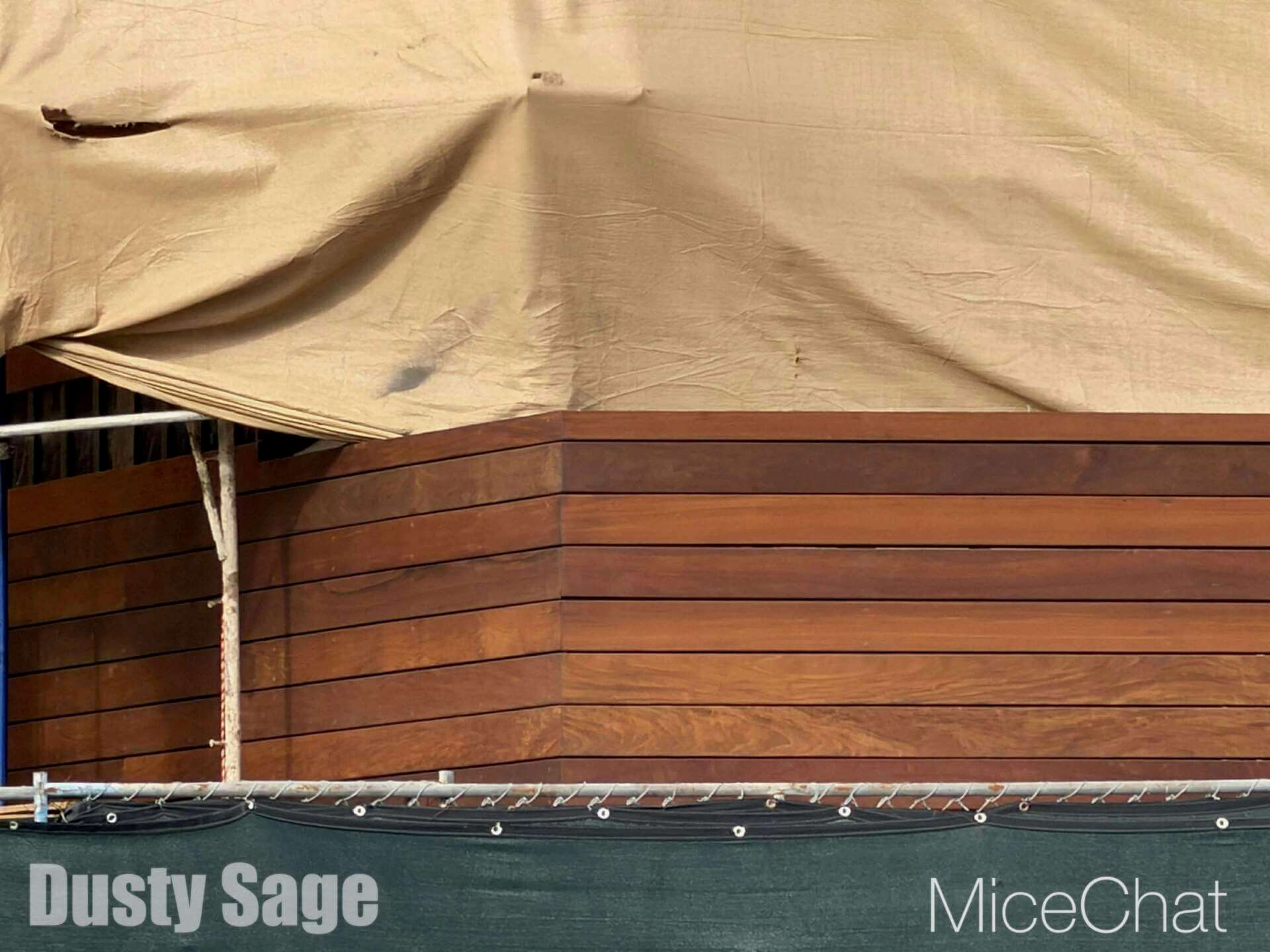 , DISNEYLAND UPDATE: CEO Shock, Napa Rose Reborn & DCA’s 25th Birthday Bash!