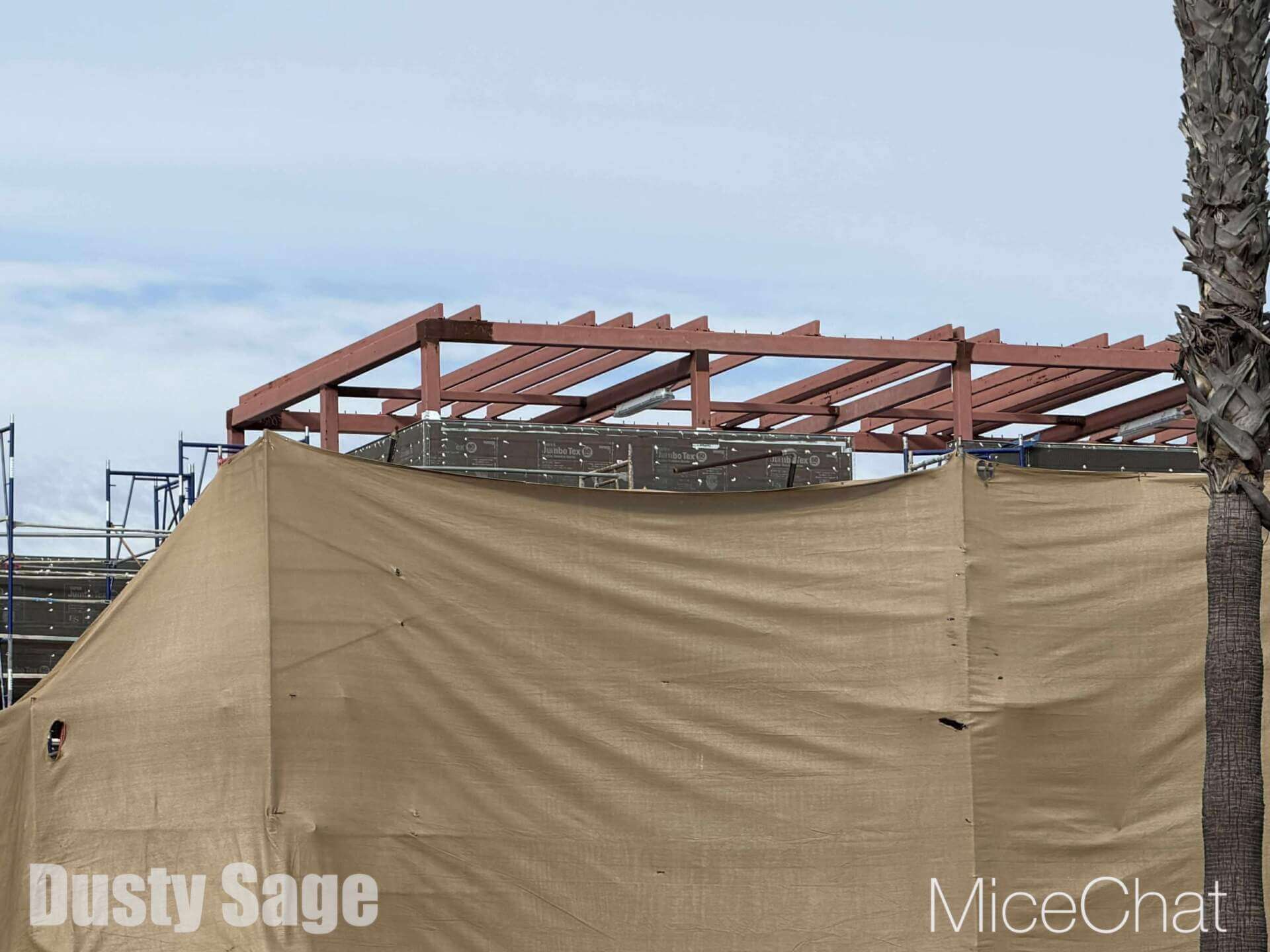 , DISNEYLAND UPDATE: CEO Shock, Napa Rose Reborn & DCA’s 25th Birthday Bash!