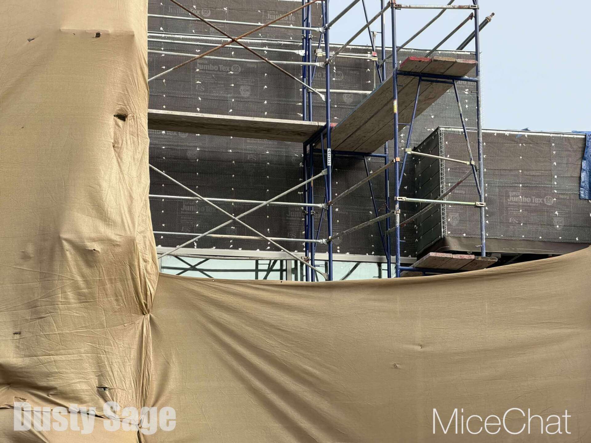 , DISNEYLAND UPDATE: CEO Shock, Napa Rose Reborn & DCA’s 25th Birthday Bash!