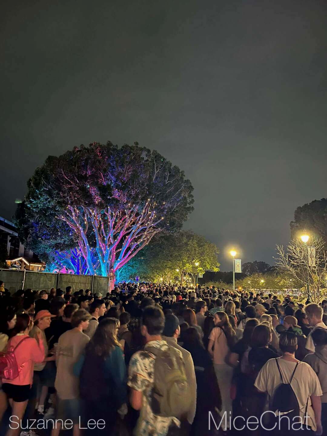 Disneyland Update, DISNEYLAND UPDATE: Sold-Out Parks, Opera House Split & Chaotic Construction