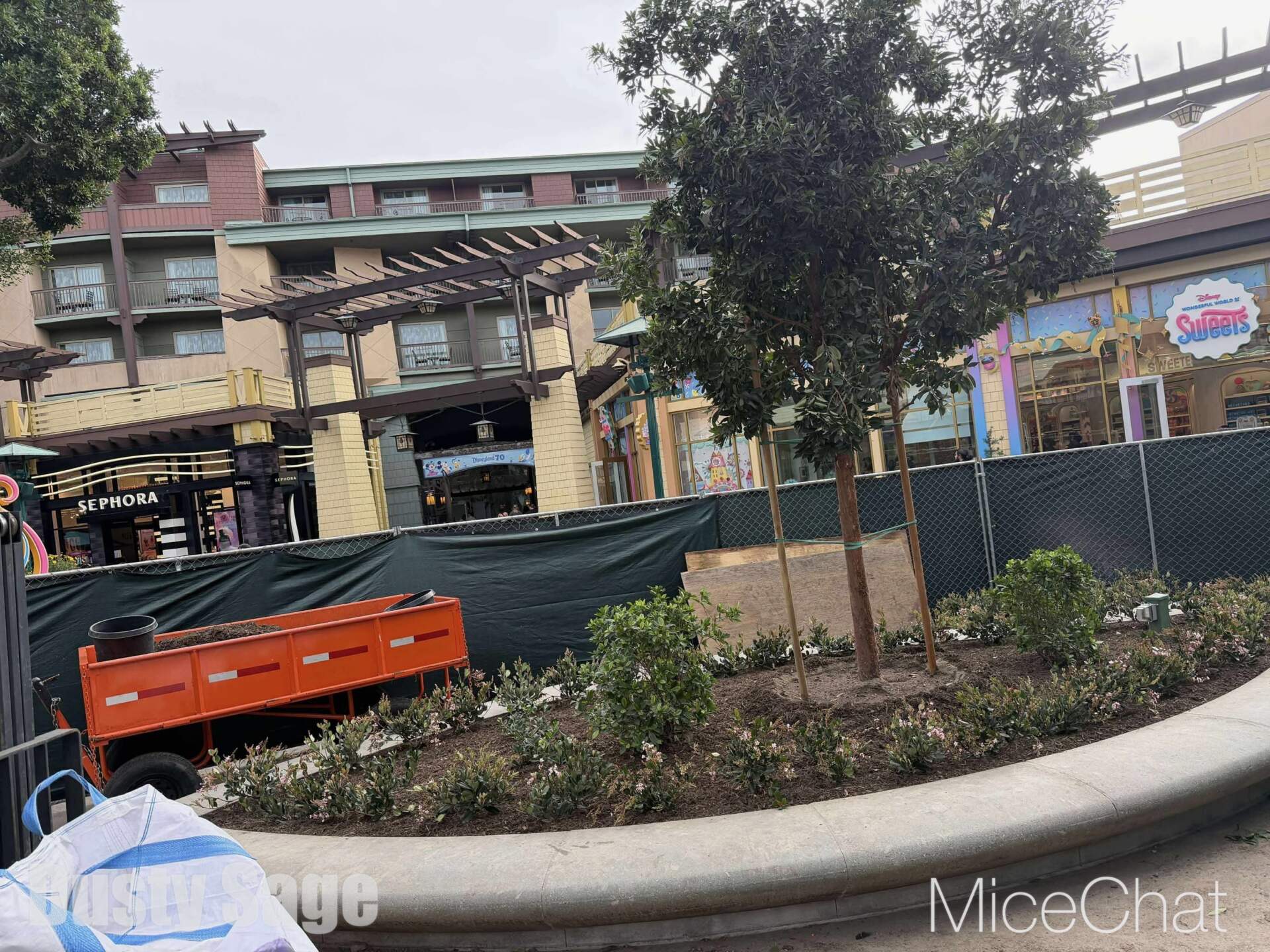 , DISNEYLAND UPDATE: CEO Shock, Napa Rose Reborn & DCA’s 25th Birthday Bash!