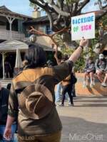 DLR-Jungle-Cruise