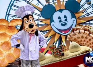 , Disney and Theme park news, tips, planning and more!!