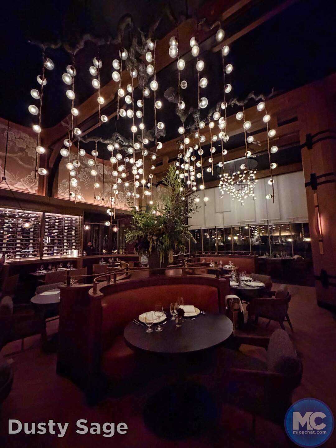 Napa Rose, Is Disneyland&rsquo;s New Napa Rose the Fairest of Them All?