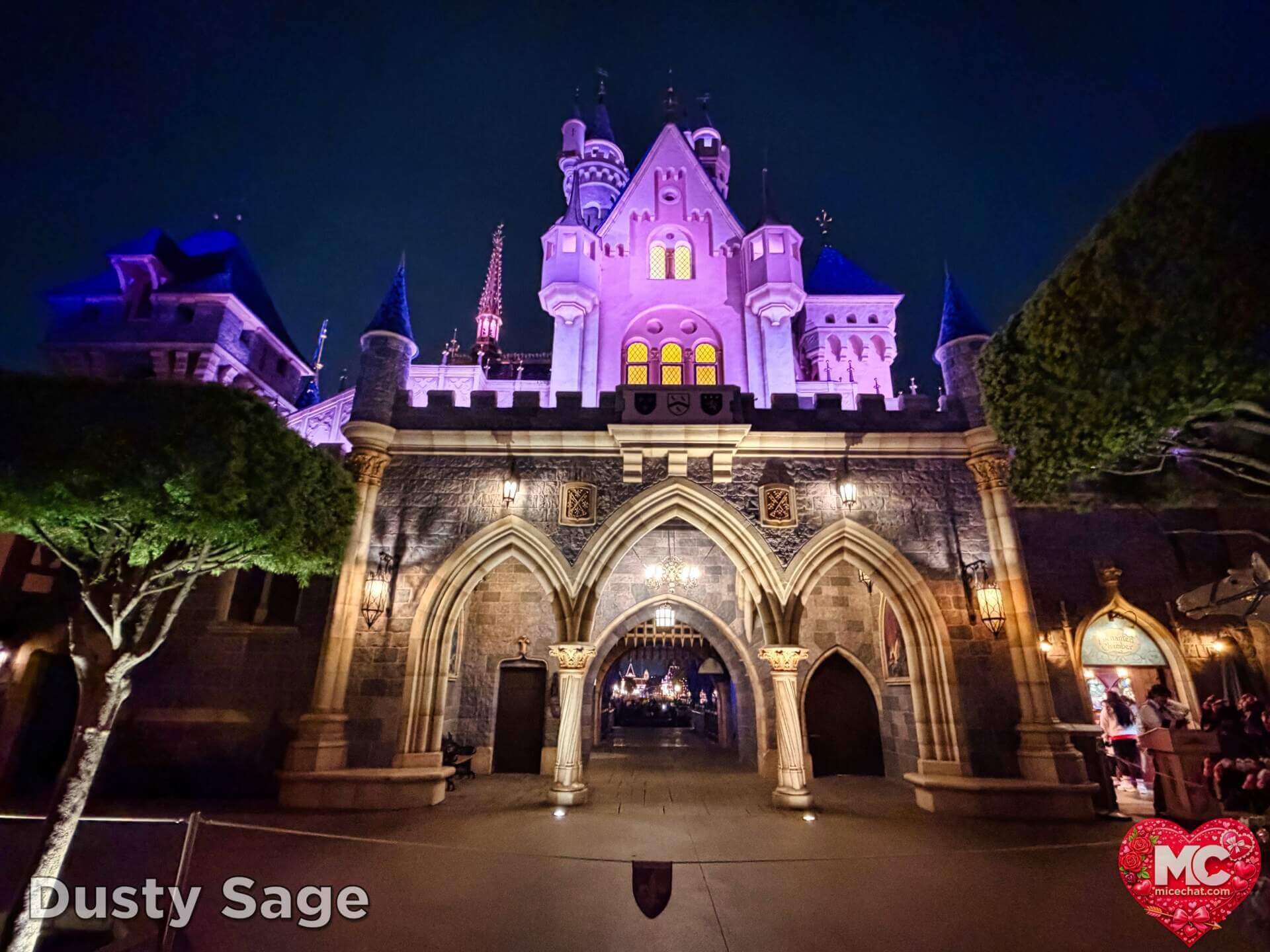 Disneyland Update, DISNEYLAND UPDATE: Sold-Out Parks, Opera House Split & Chaotic Construction