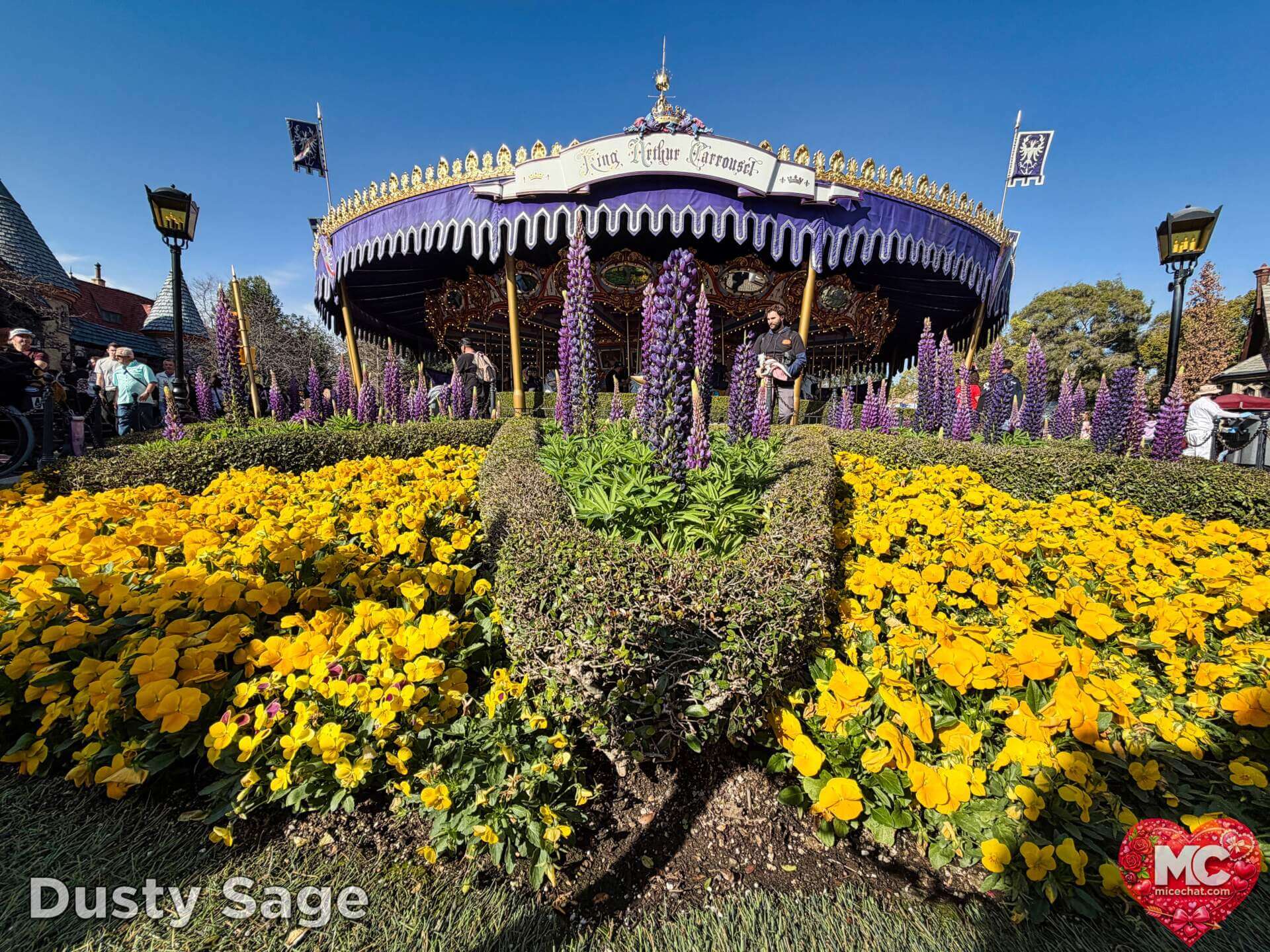 Disneyland Update, DISNEYLAND UPDATE: Sold-Out Parks, Opera House Split & Chaotic Construction