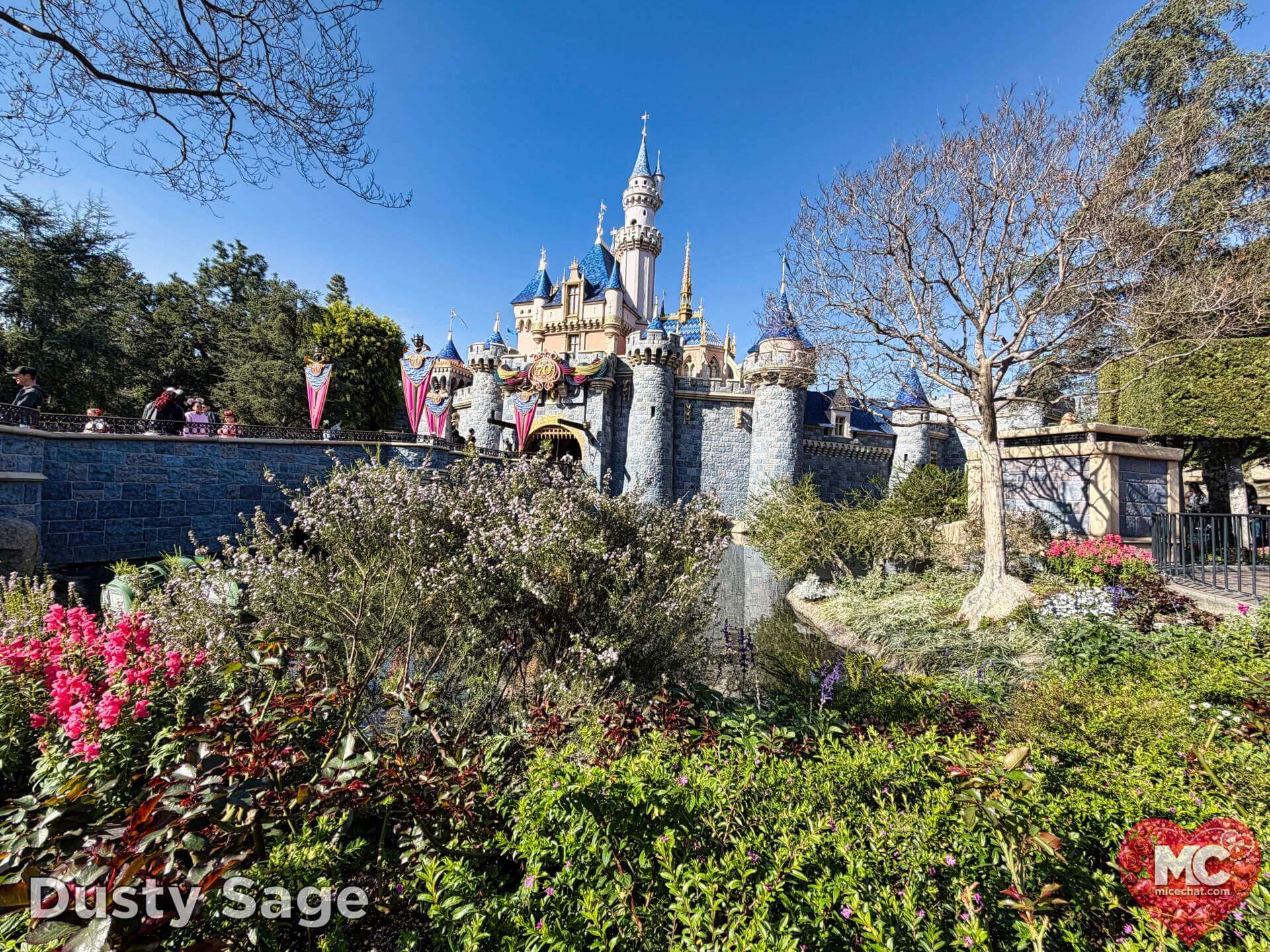 Disneyland Update, DISNEYLAND UPDATE: Sold-Out Parks, Opera House Split & Chaotic Construction