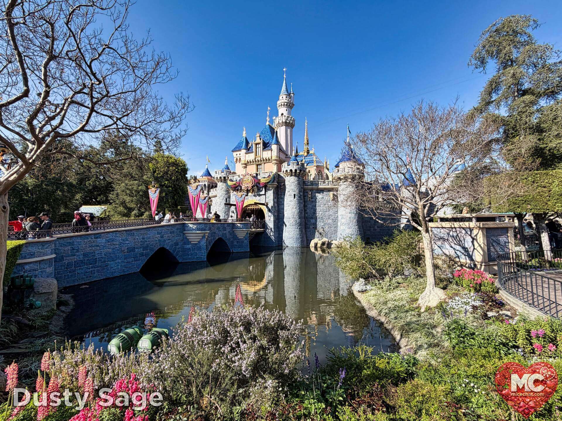 Disneyland Update, DISNEYLAND UPDATE: Sold-Out Parks, Opera House Split & Chaotic Construction