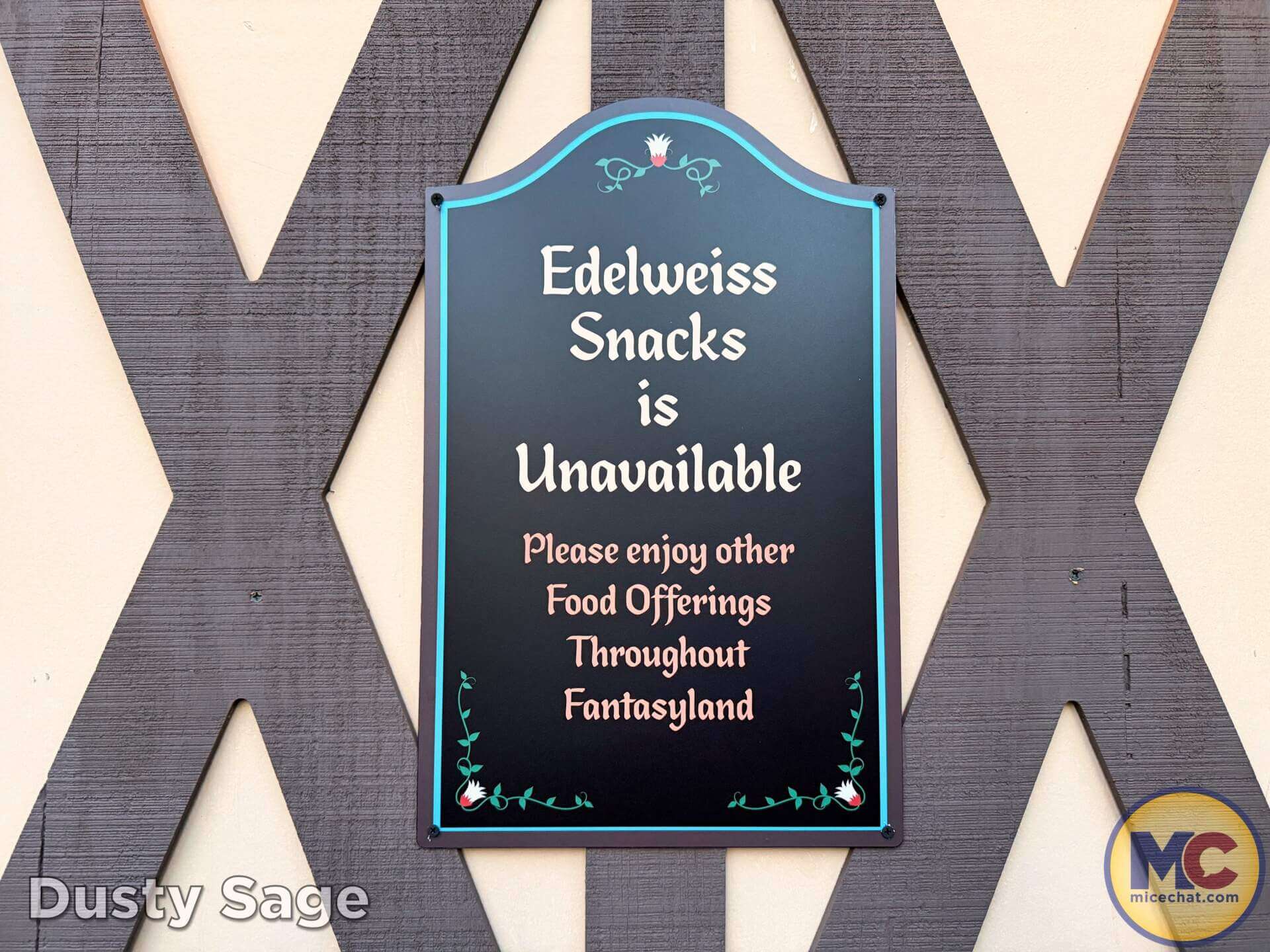 Disneyland, DISNEYLAND UPDATE: Entertainment Gaps, Construction Reveals & Big Changes Ahead