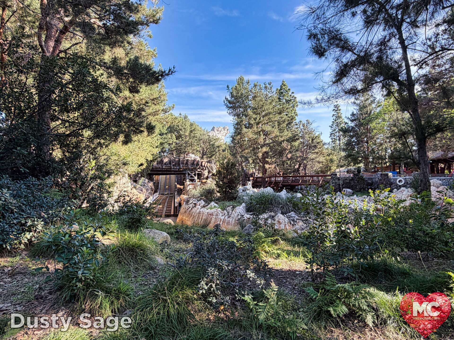 Disneyland Update, DISNEYLAND UPDATE: Sold-Out Parks, Opera House Split & Chaotic Construction