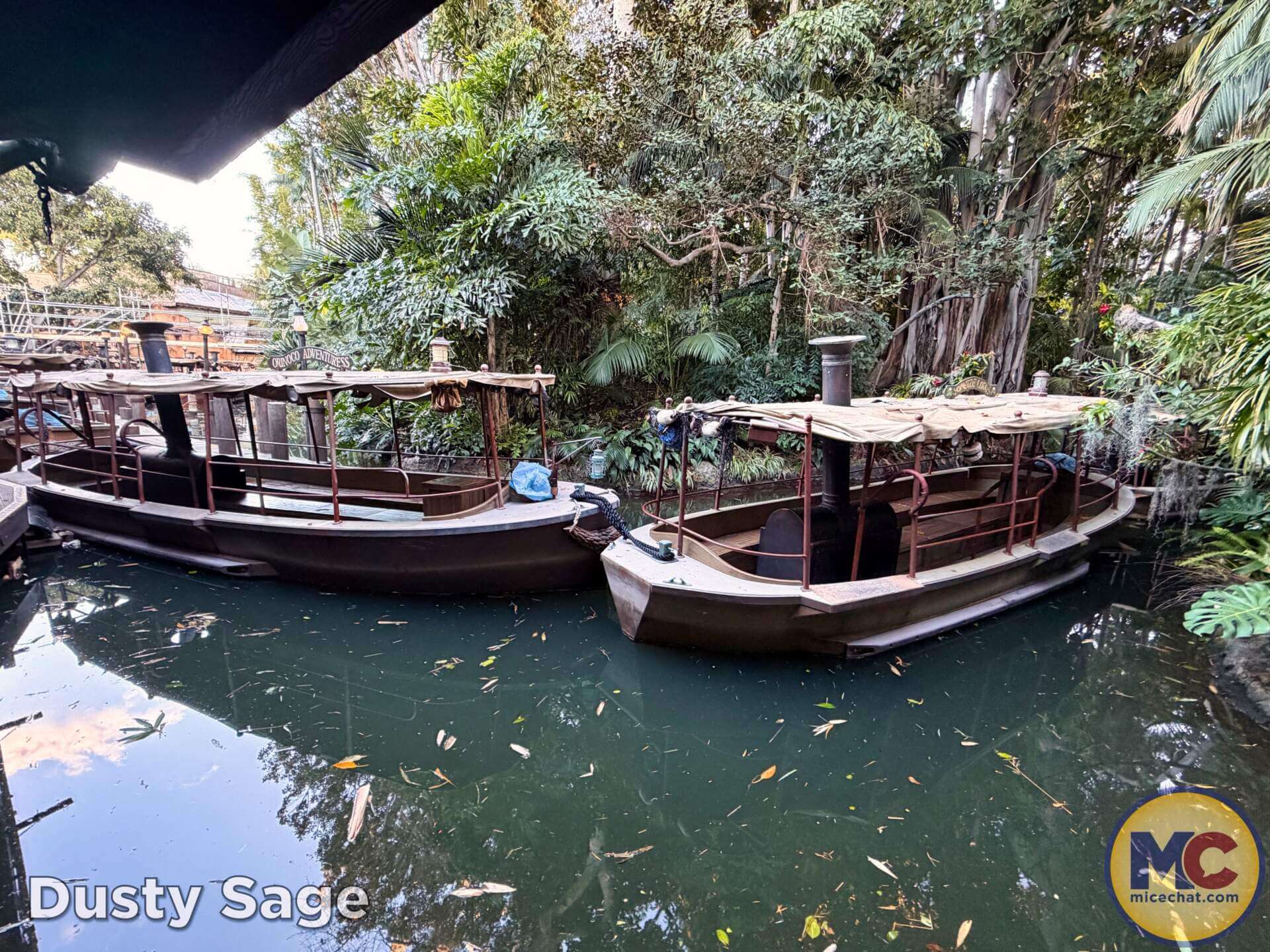 Disneyland, DISNEYLAND UPDATE: Entertainment Gaps, Construction Reveals & Big Changes Ahead