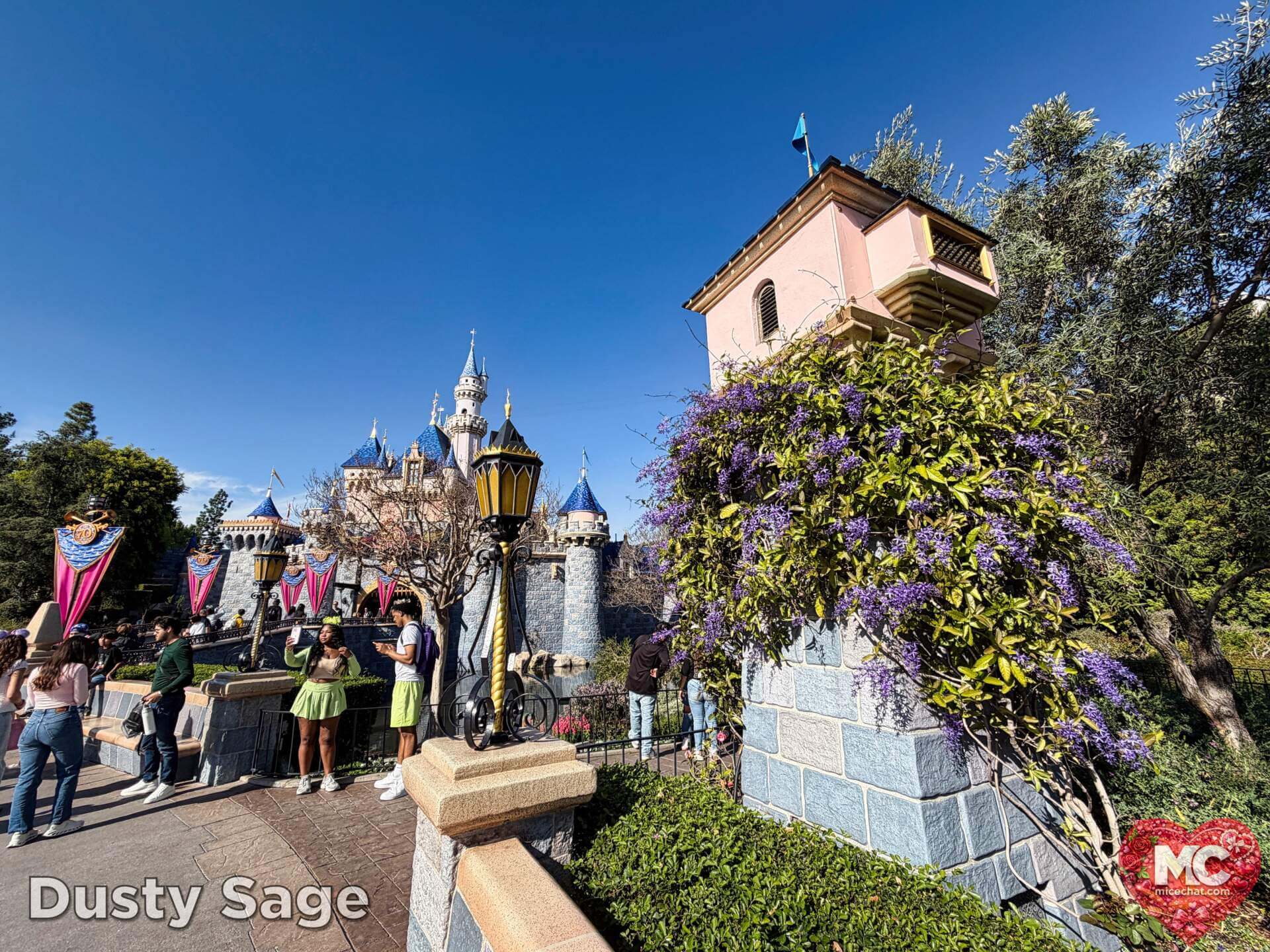 Disneyland Update, DISNEYLAND UPDATE: Sold-Out Parks, Opera House Split & Chaotic Construction