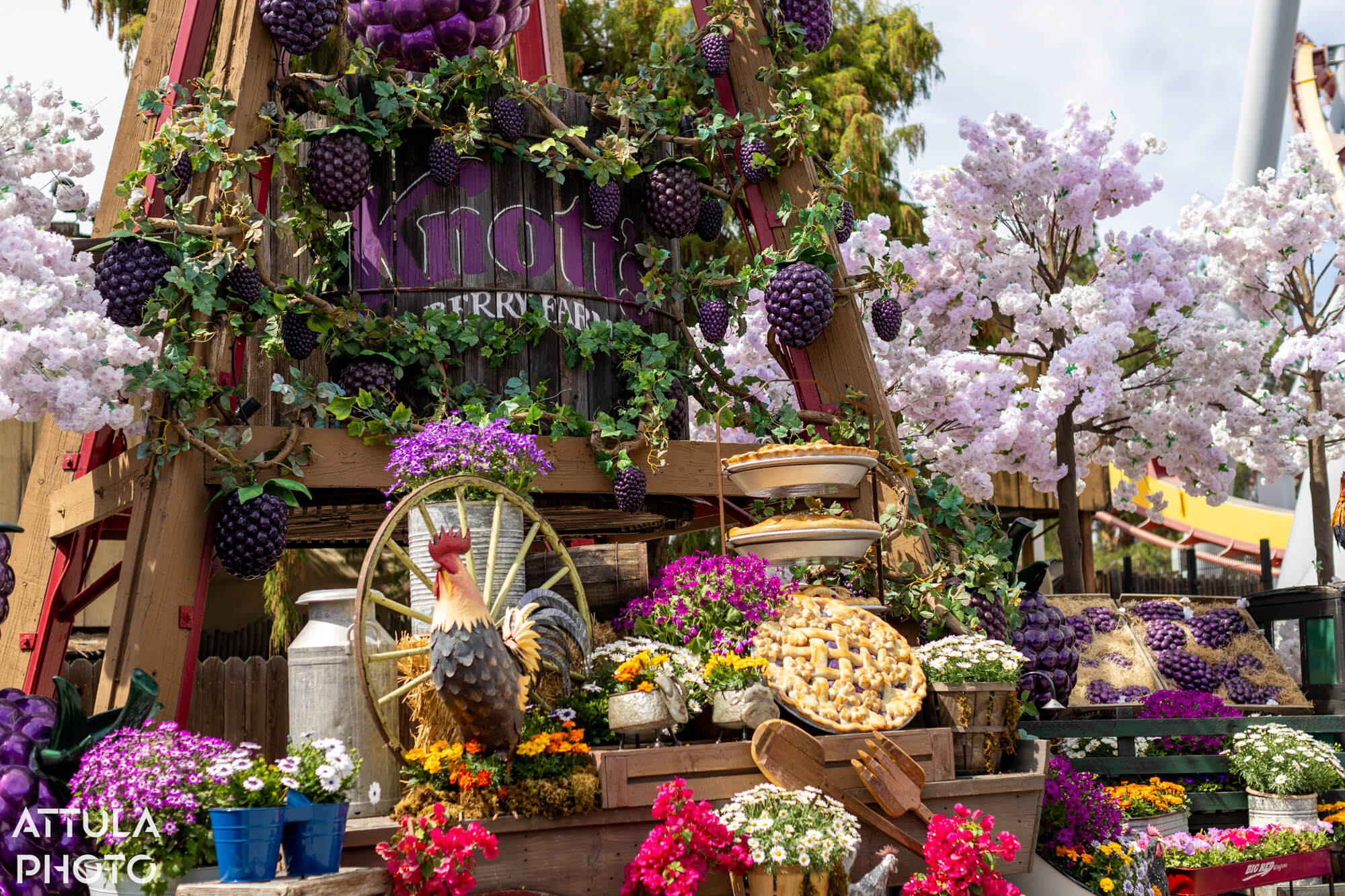 Knott's Boysenberry Festival Guide: Berry Best Bites & Insider Tips