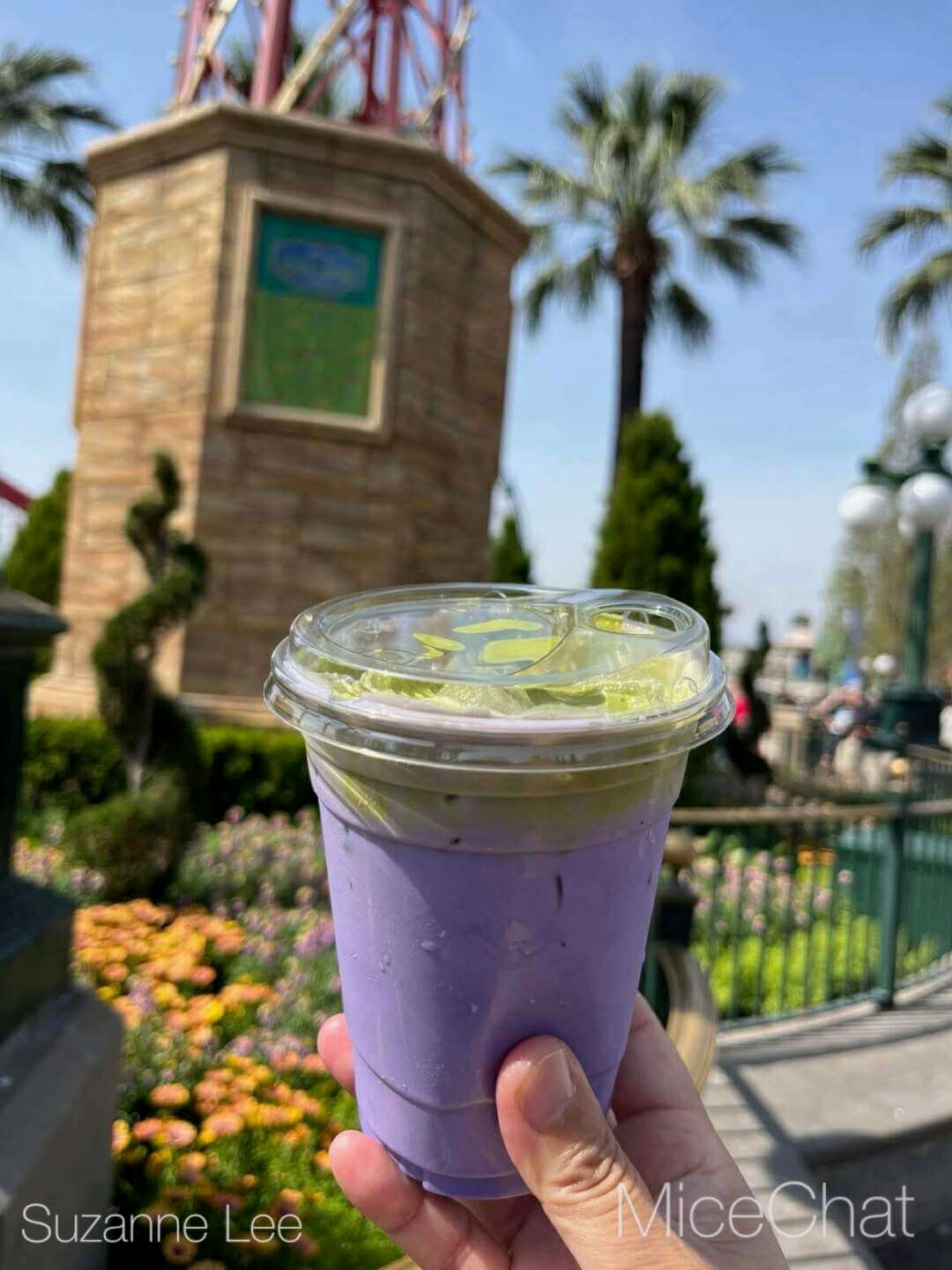 Disneyland Update, DISNEYLAND UPDATE: Spring Break Surge, D23 Drama & Construction Blues