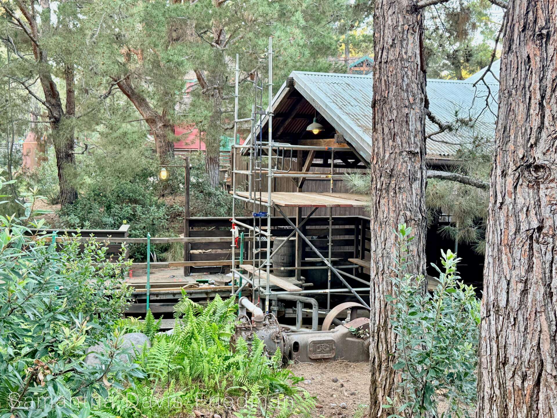 Disneyland Update, DISNEYLAND UPDATE: Costly Cutbacks, Food Fumbles & After Dark Disappointment