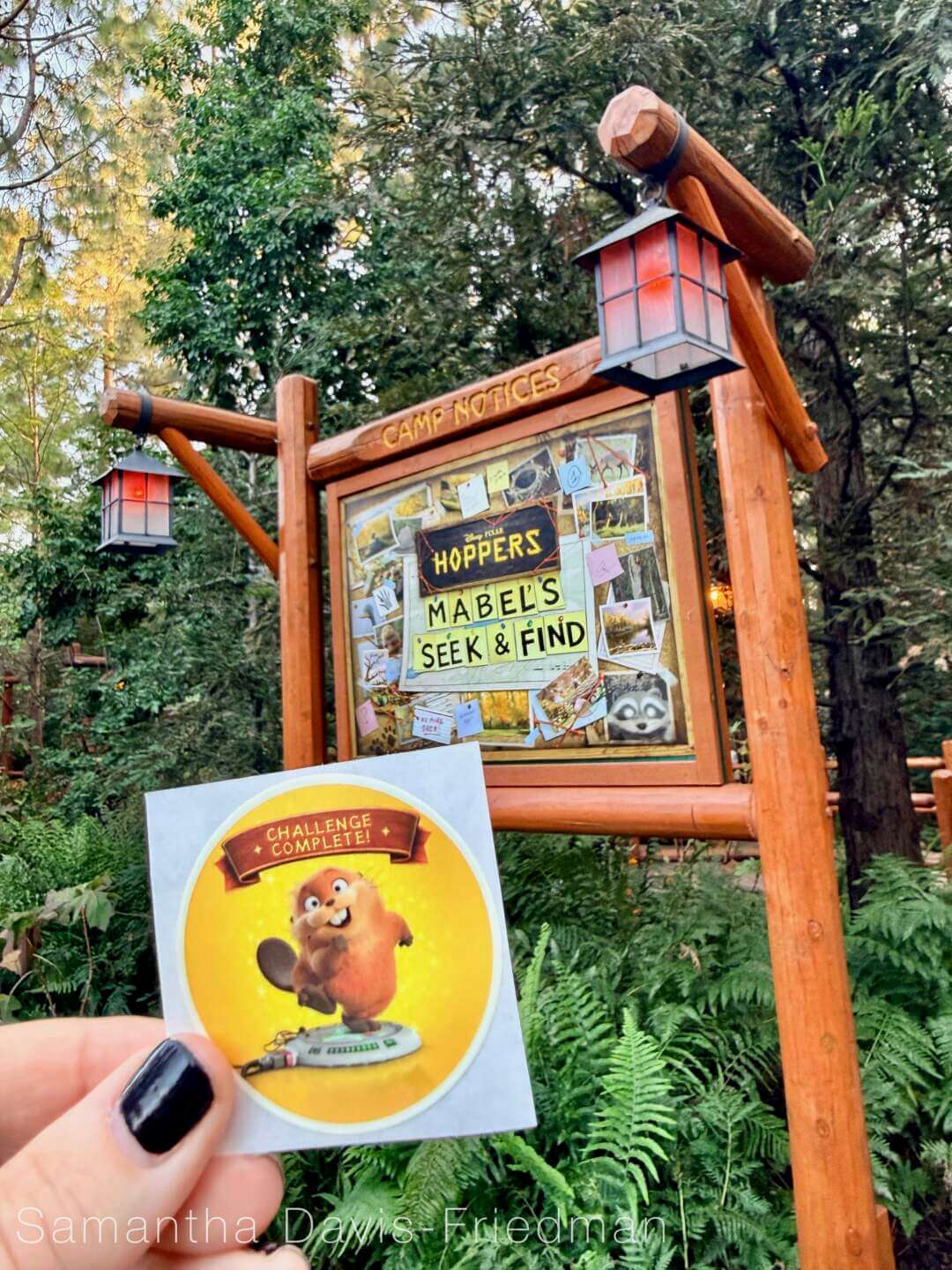 Disneyland Update, DISNEYLAND UPDATE: Costly Cutbacks, Food Fumbles & After Dark Disappointment