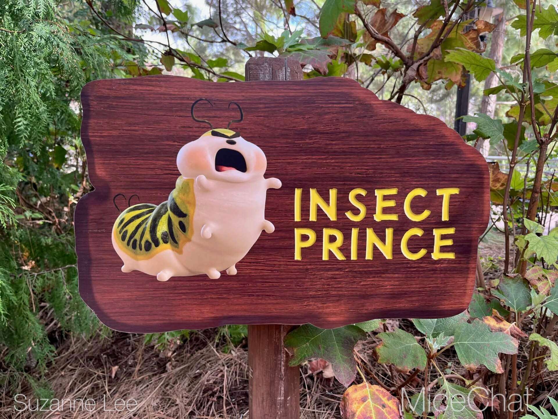 Disneyland Update, DISNEYLAND UPDATE: Costly Cutbacks, Food Fumbles & After Dark Disappointment