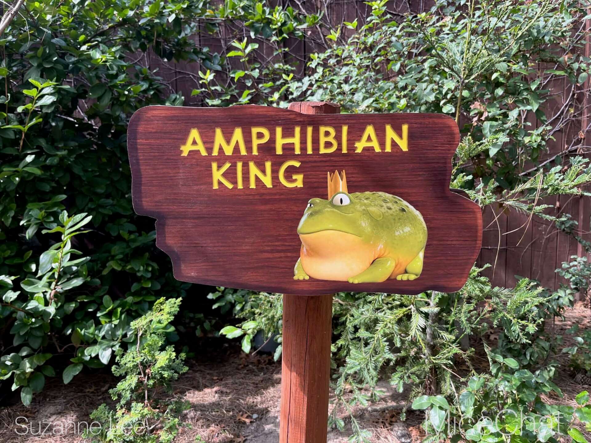 Disneyland Update, DISNEYLAND UPDATE: Costly Cutbacks, Food Fumbles & After Dark Disappointment