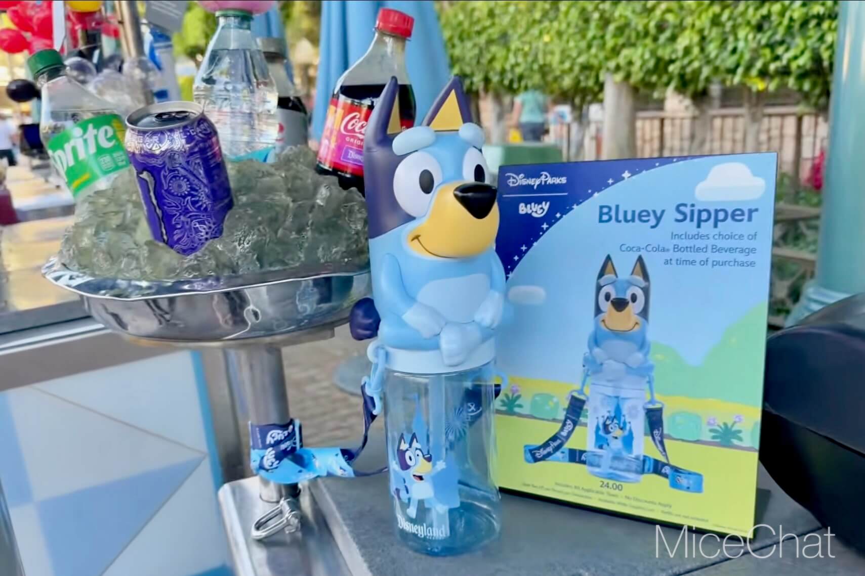Disneyland Update, DISNEYLAND UPDATE: Bluey Blues, Banana Bonanza & D23 Buzz