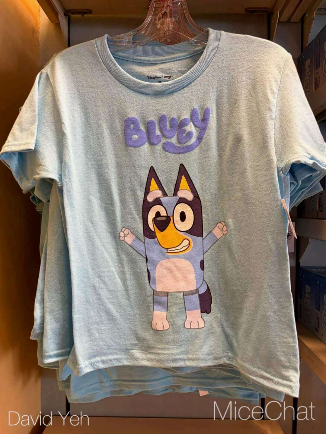 Disneyland Update, DISNEYLAND UPDATE: New Boss, Bluey Meltdown & Rising Heat!
