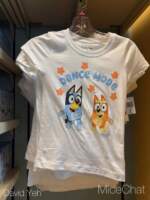 DLR-Bluey-merch-2