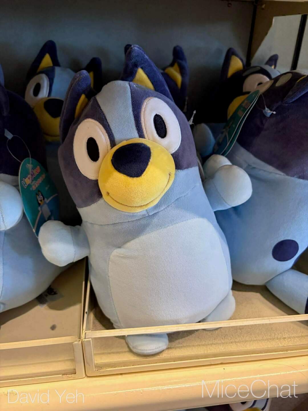 Disneyland Update, DISNEYLAND UPDATE: New Boss, Bluey Meltdown & Rising Heat!