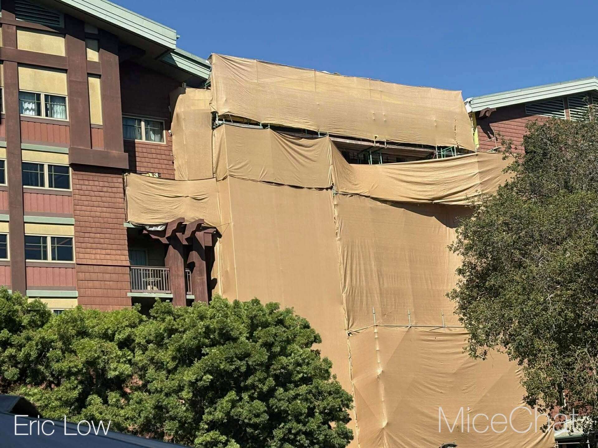Disneyland Update, DISNEYLAND UPDATE: New Boss, Bluey Meltdown & Rising Heat!
