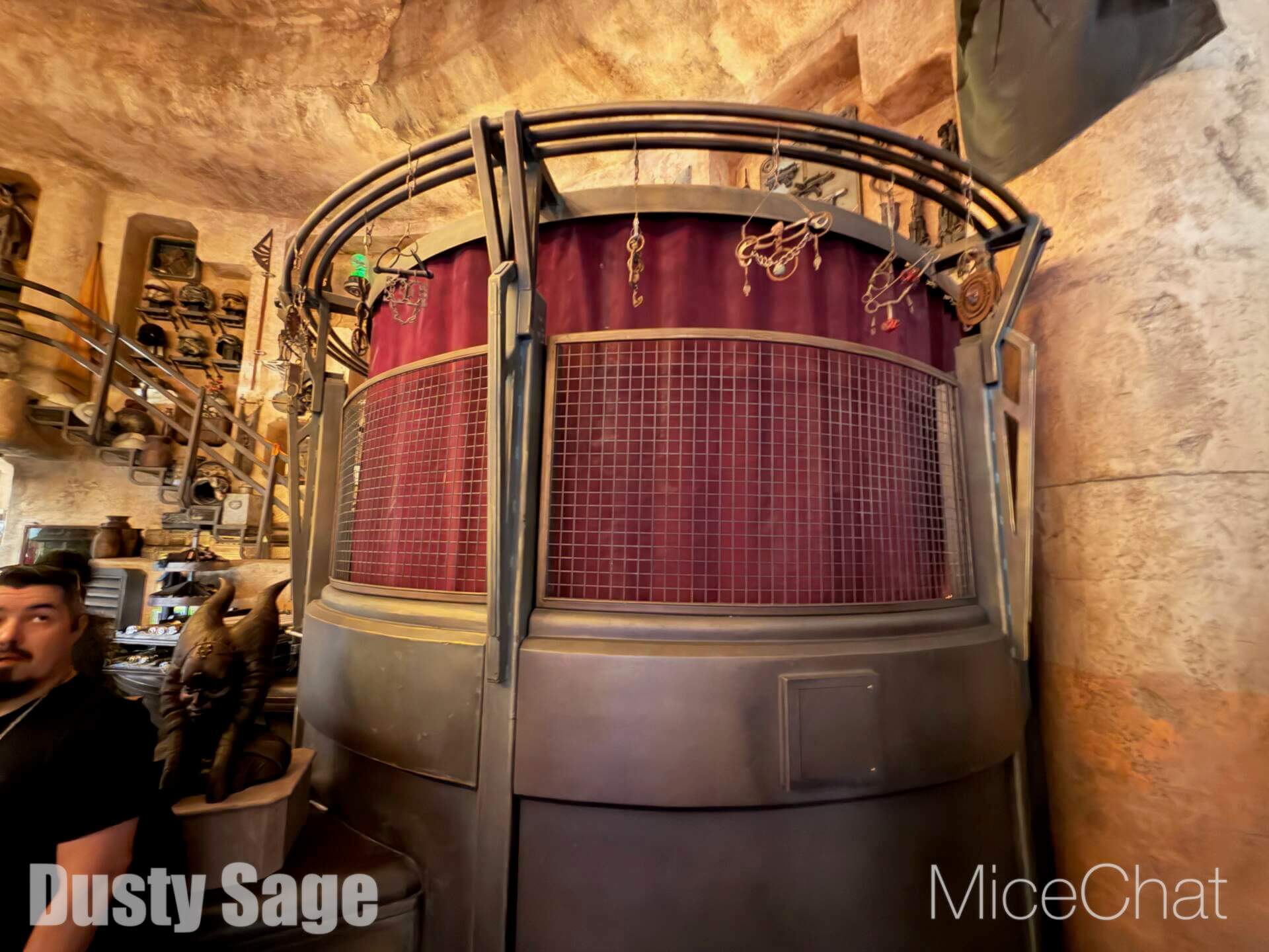 Disneyland Update, DISNEYLAND UPDATE: New Boss, Bluey Meltdown & Rising Heat!