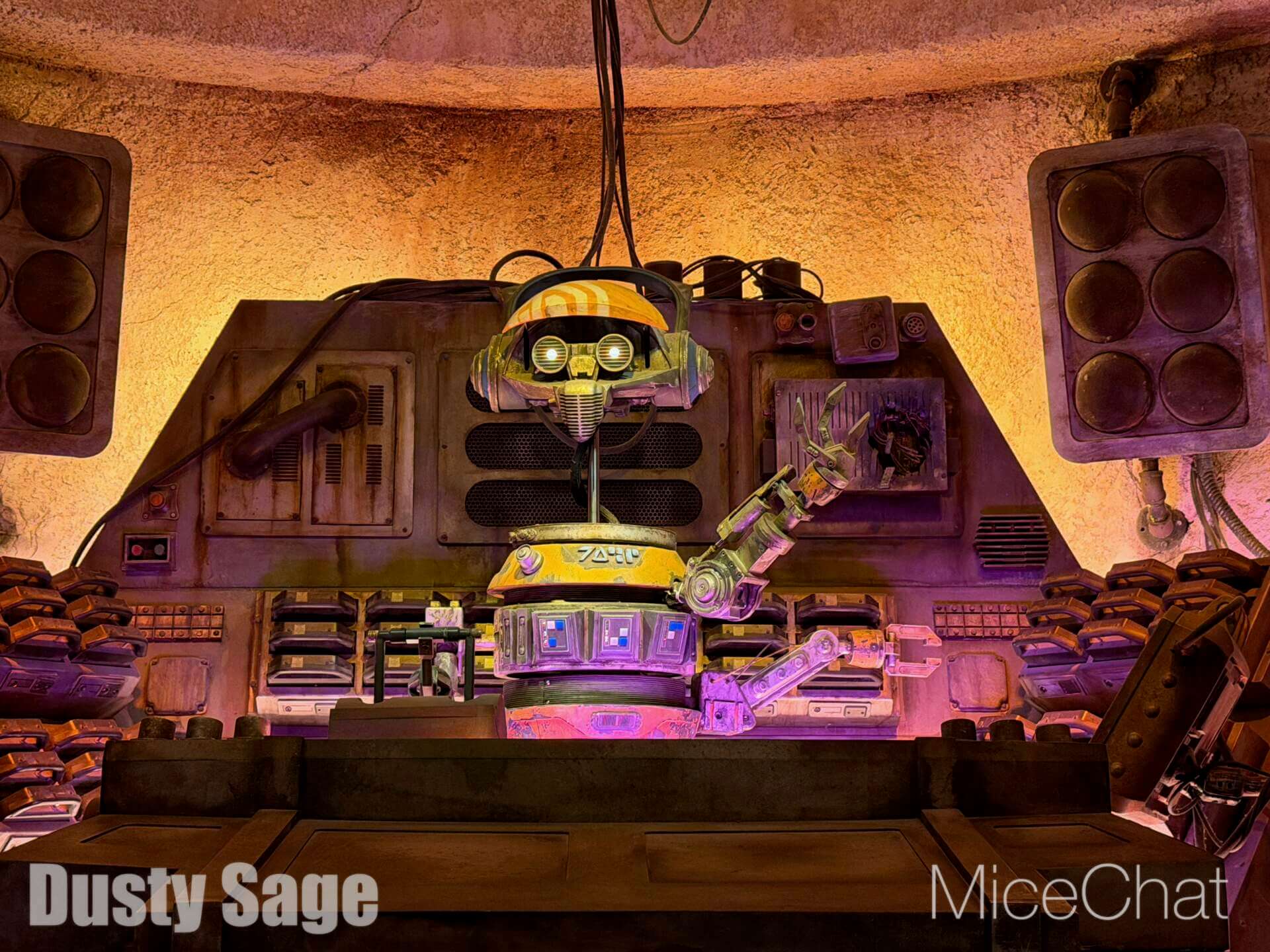 Disneyland Update, DISNEYLAND UPDATE: New Boss, Bluey Meltdown & Rising Heat!