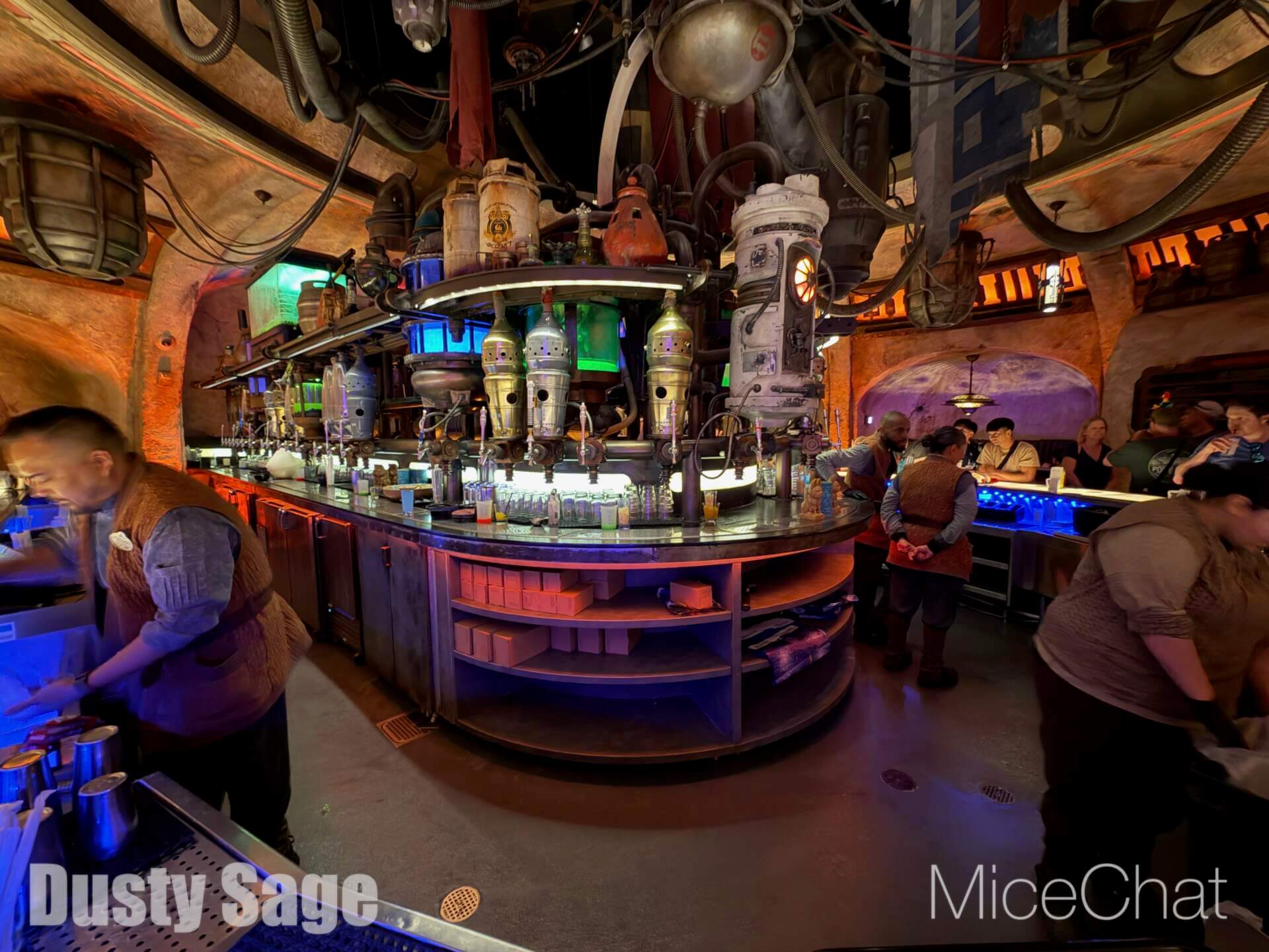 Disneyland Update, DISNEYLAND UPDATE: New Boss, Bluey Meltdown & Rising Heat!