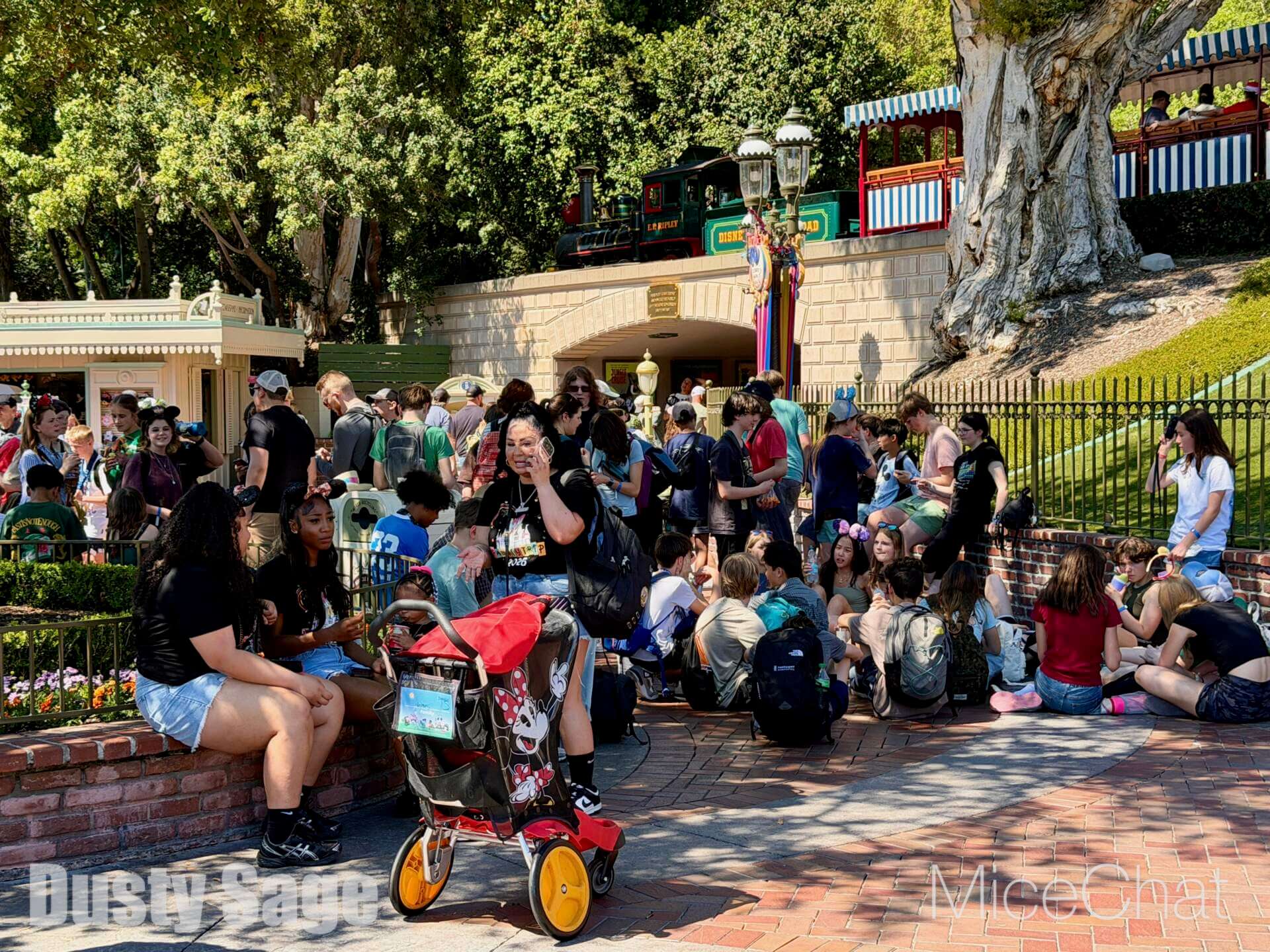 Disneyland Update, DISNEYLAND UPDATE: New Boss, Bluey Meltdown & Rising Heat!