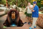 DLR-Hoppers-Magic-Shot-2