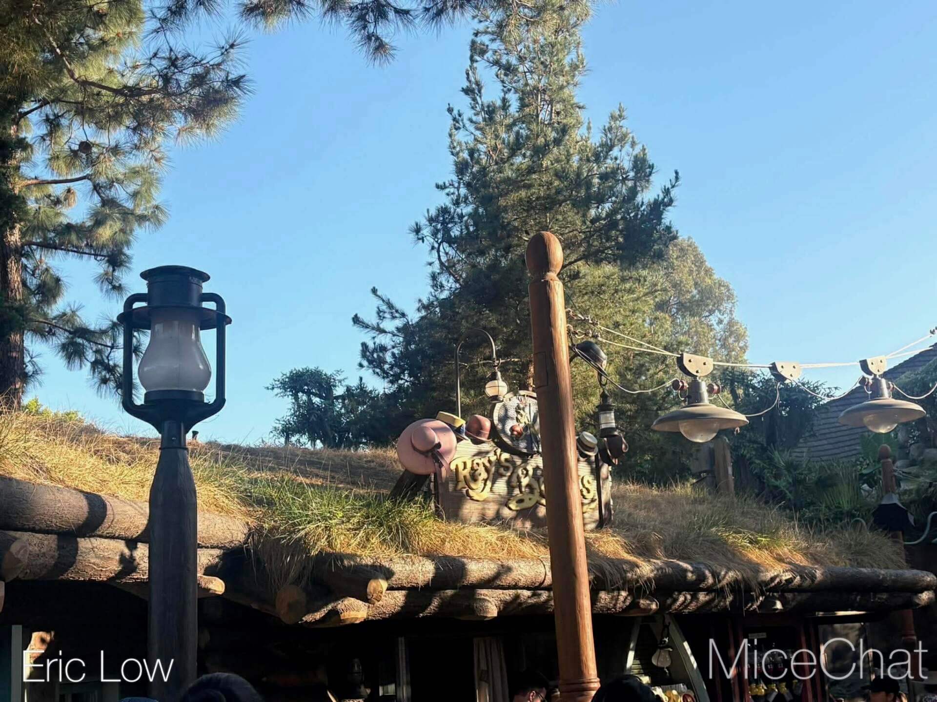 Disneyland Update, DISNEYLAND UPDATE: Bluey Blues, Banana Bonanza & D23 Buzz