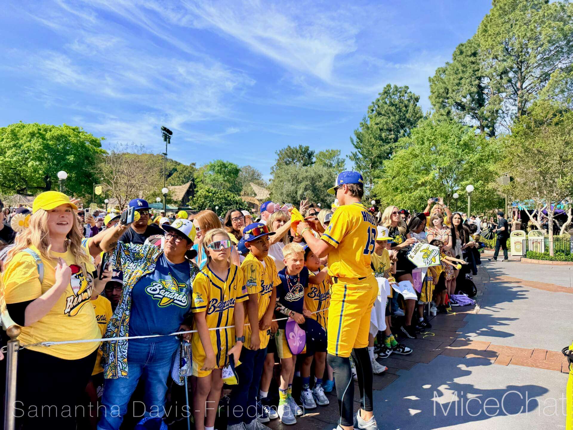 Disneyland Update, DISNEYLAND UPDATE: Bluey Blues, Banana Bonanza & D23 Buzz