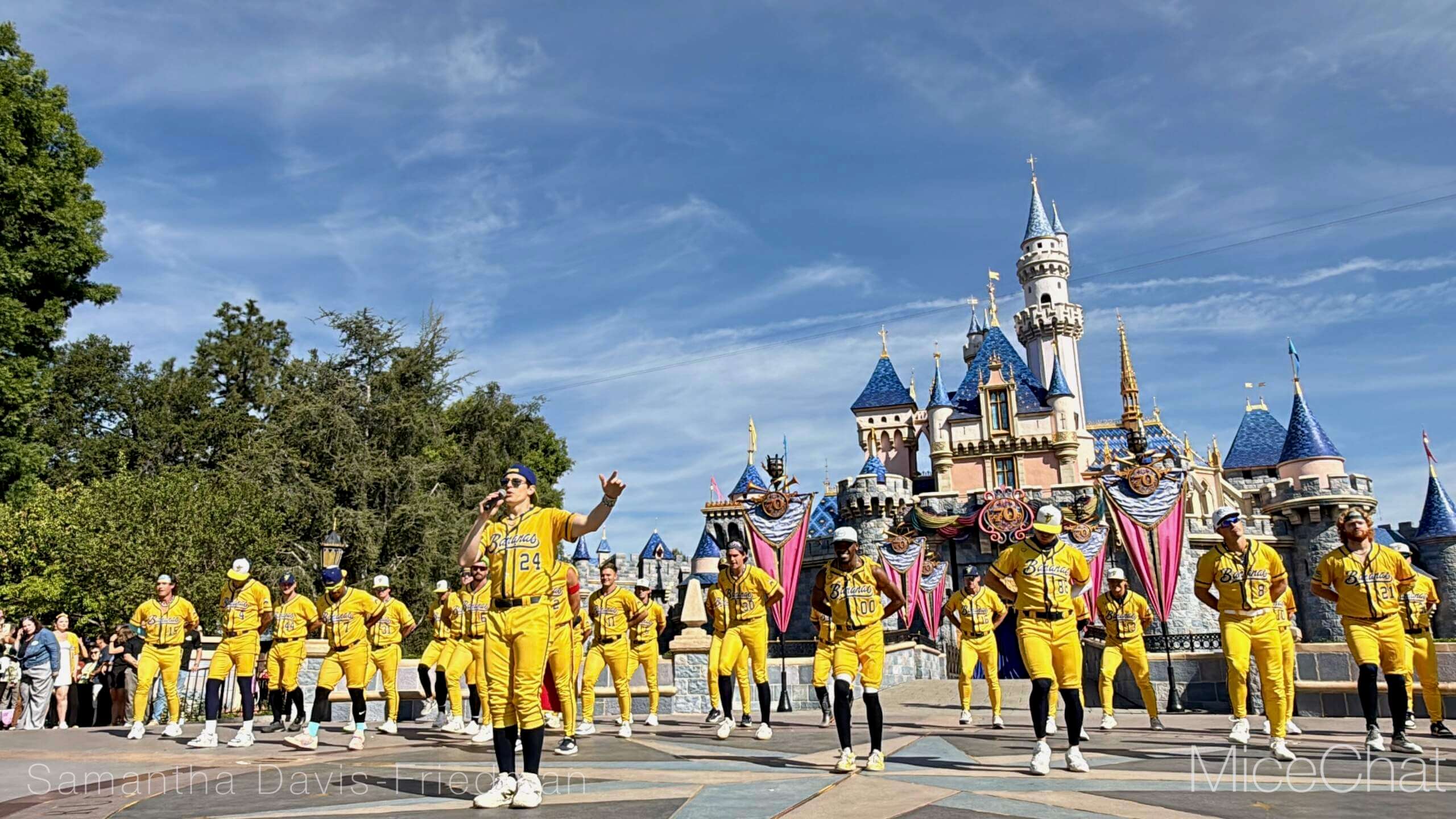 Disneyland Update, DISNEYLAND UPDATE: Bluey Blues, Banana Bonanza & D23 Buzz