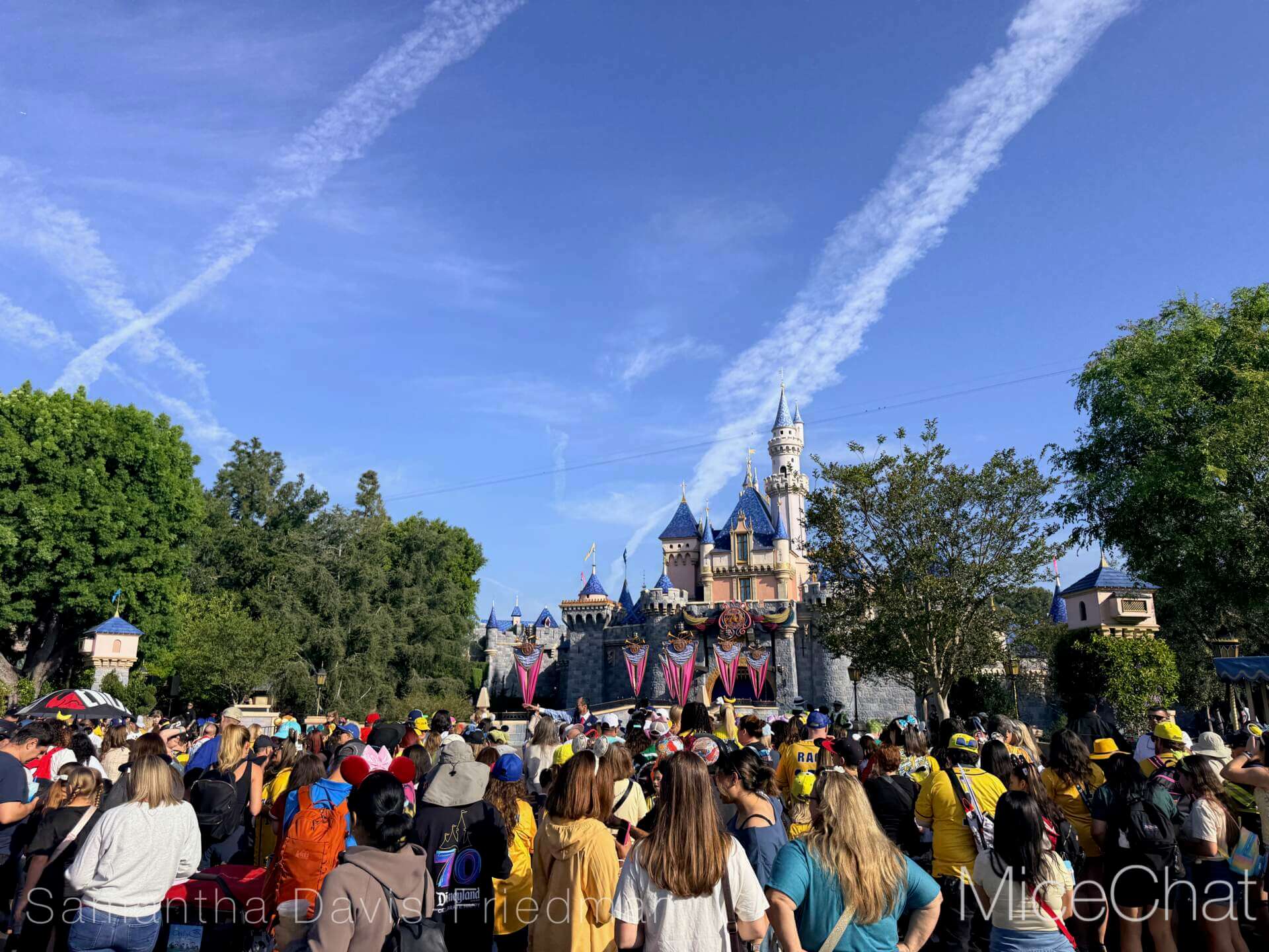 Disneyland Update, DISNEYLAND UPDATE: Bluey Blues, Banana Bonanza & D23 Buzz