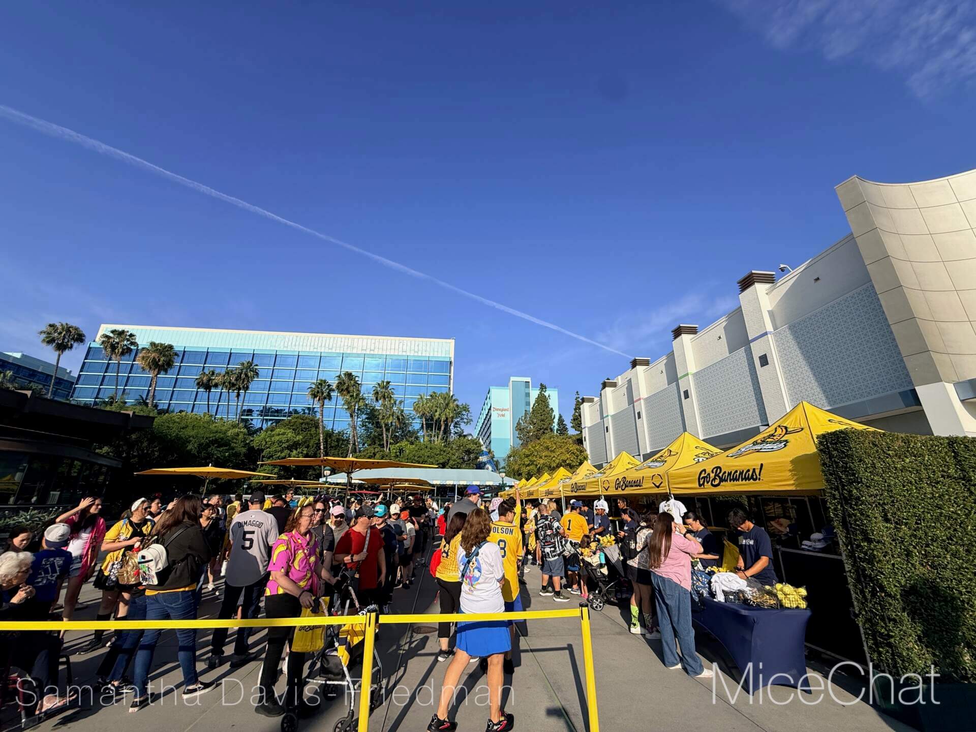 Disneyland Update, DISNEYLAND UPDATE: Bluey Blues, Banana Bonanza & D23 Buzz