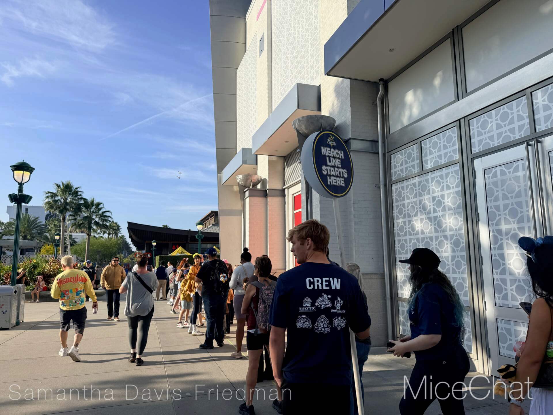 Disneyland Update, DISNEYLAND UPDATE: Bluey Blues, Banana Bonanza & D23 Buzz