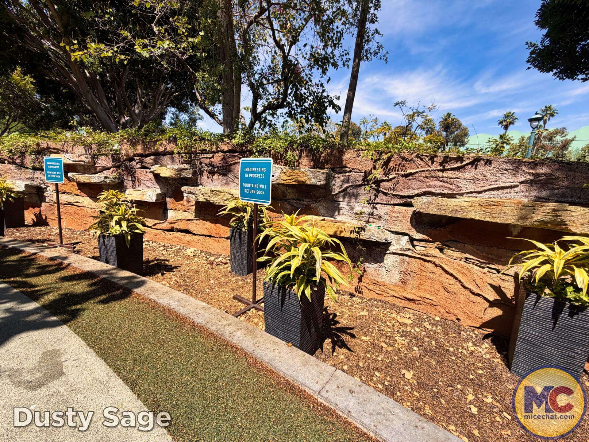 Disneyland Update, DISNEYLAND UPDATE: Bluey Blues, Banana Bonanza & D23 Buzz