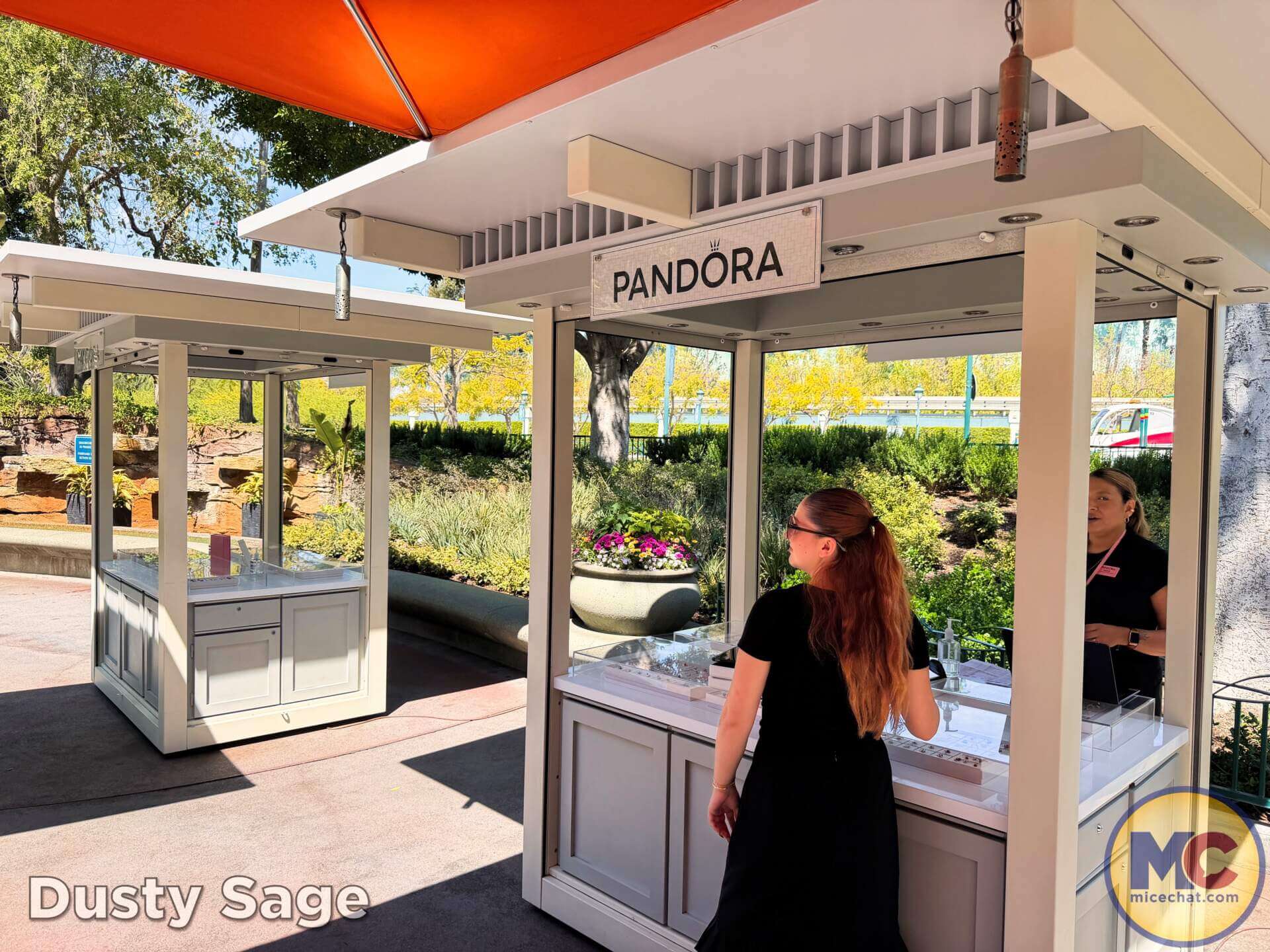 , DISNEYLAND UPDATE: Autopia Sparks, Star Wars Snarls & Summer Starts