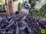 Disneyland Haunted Mansion Owl 3 MiceChat