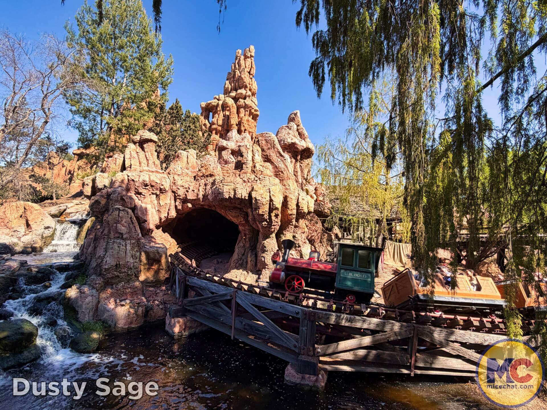 Disneyland Update, DISNEYLAND UPDATE: New Boss, Bluey Meltdown & Rising Heat!