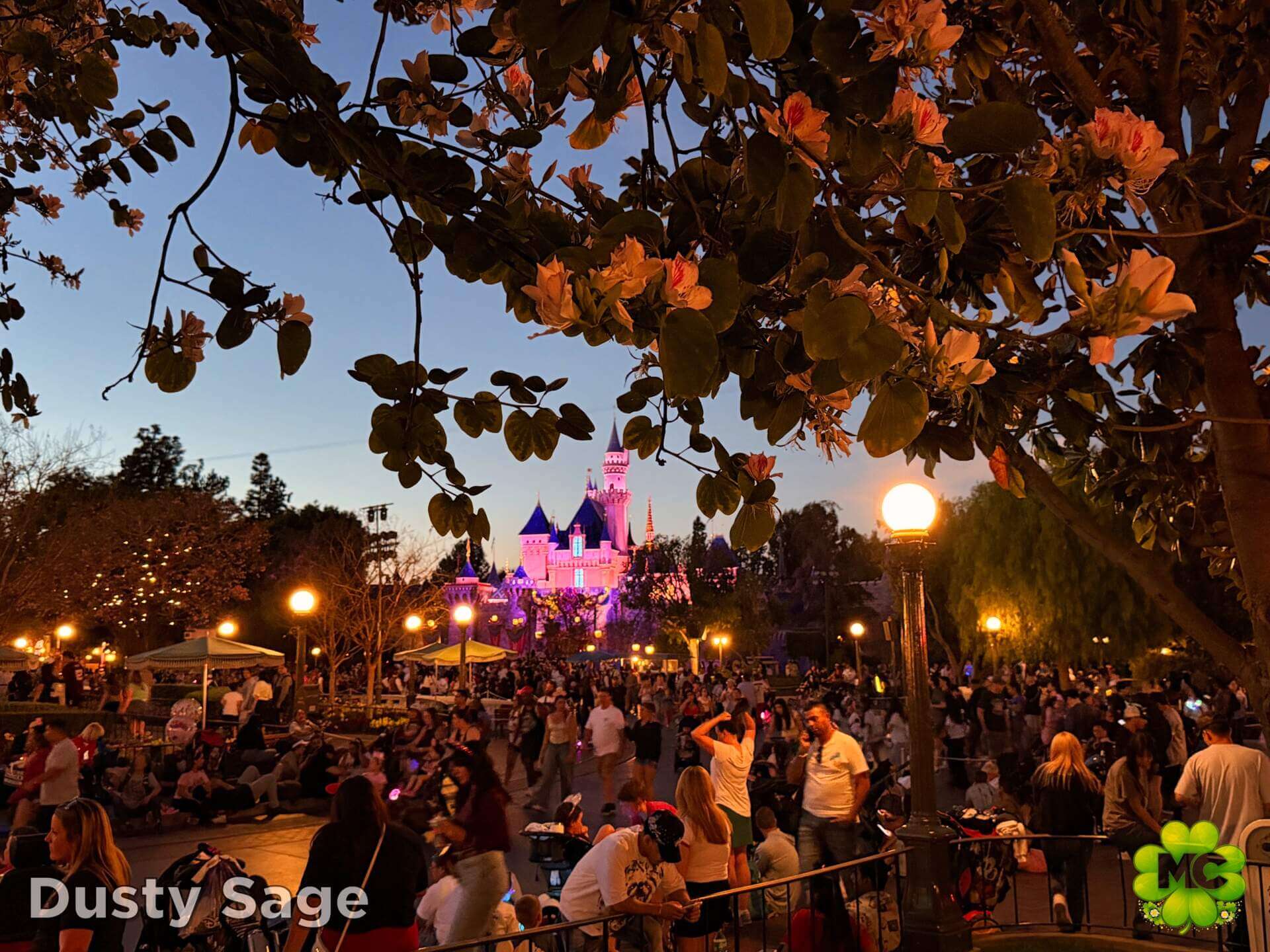 Disneyland Update, DISNEYLAND UPDATE: New Bosses Inherit Big Problems at the Wildest Place on Earth