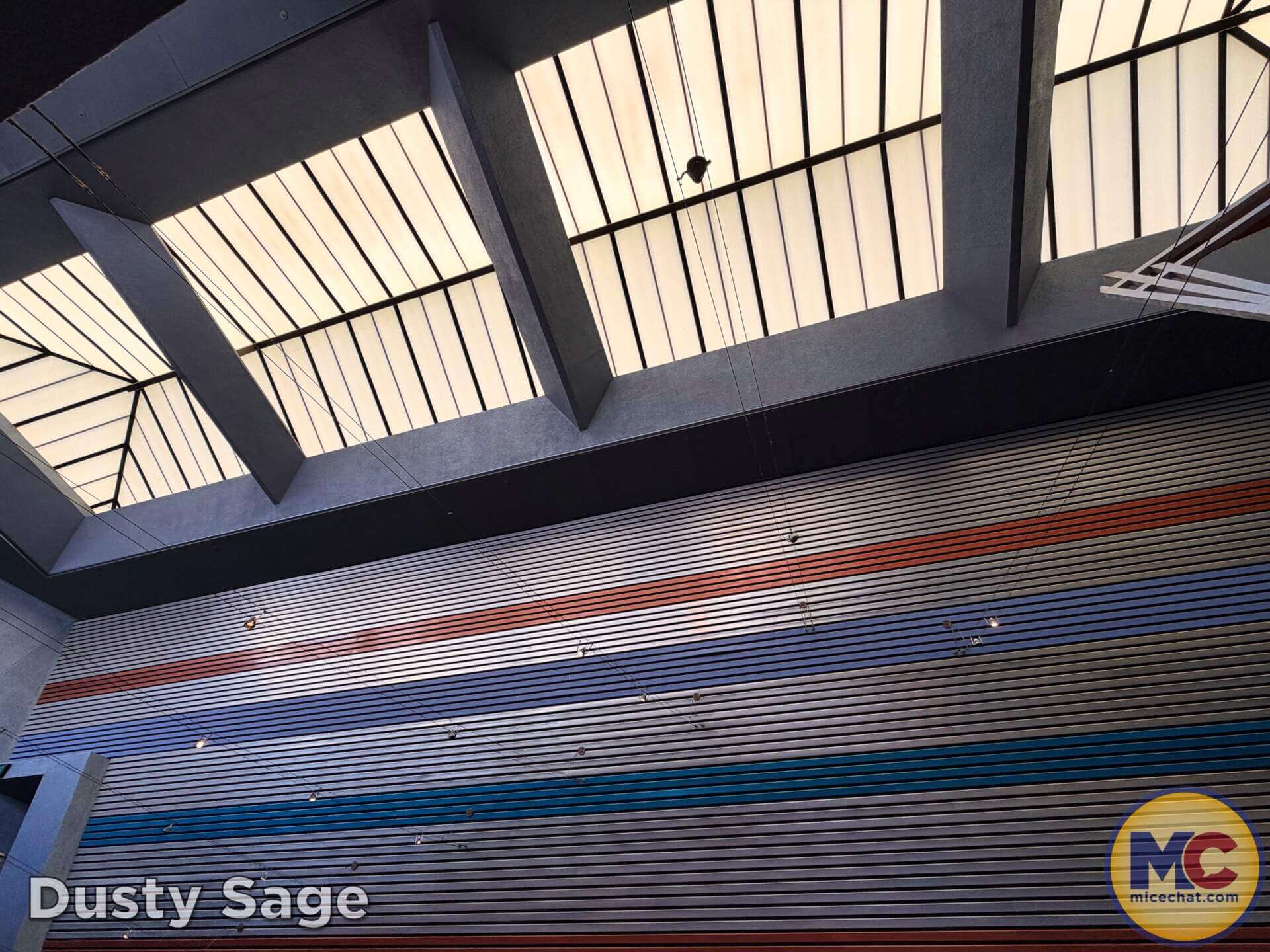 Disneyland Update, DISNEYLAND UPDATE: New Boss, Bluey Meltdown & Rising Heat!