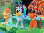 Disneyland bluey best day ever show