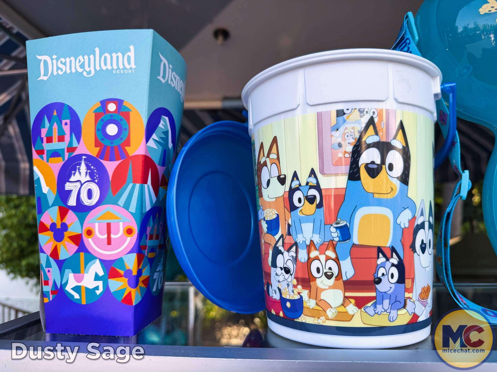 Disneyland Update, DISNEYLAND UPDATE: Bluey Blues, Banana Bonanza & D23 Buzz