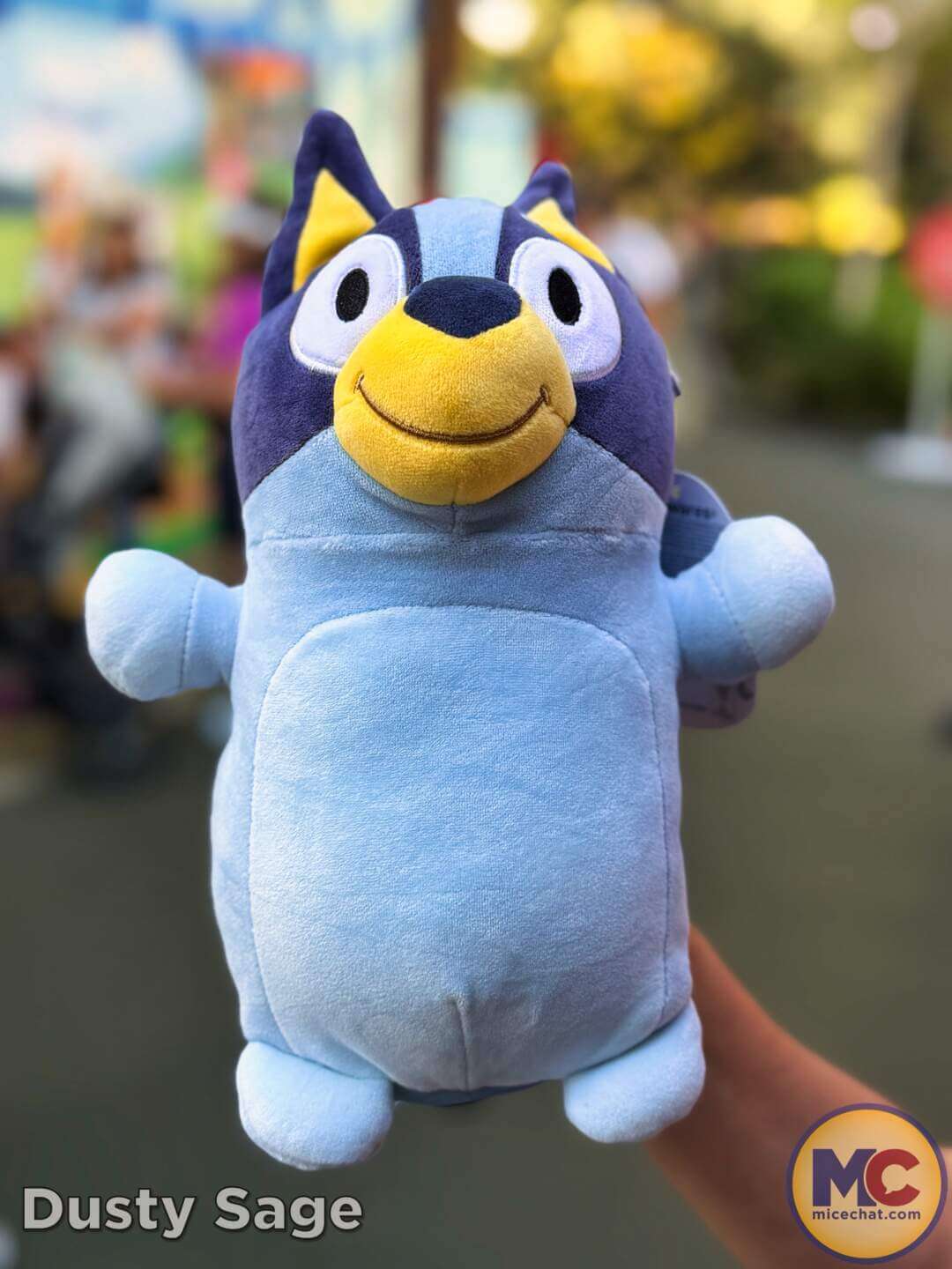 Disneyland Update, DISNEYLAND UPDATE: Bluey Blues, Banana Bonanza & D23 Buzz
