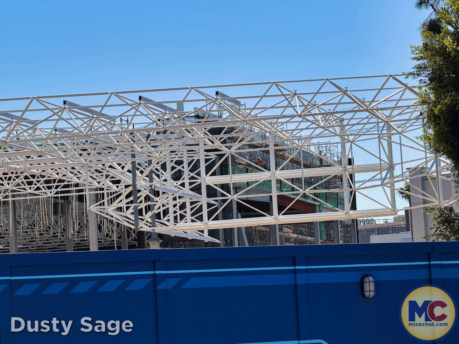 Disneyland Update, DISNEYLAND UPDATE: New Boss, Bluey Meltdown & Rising Heat!
