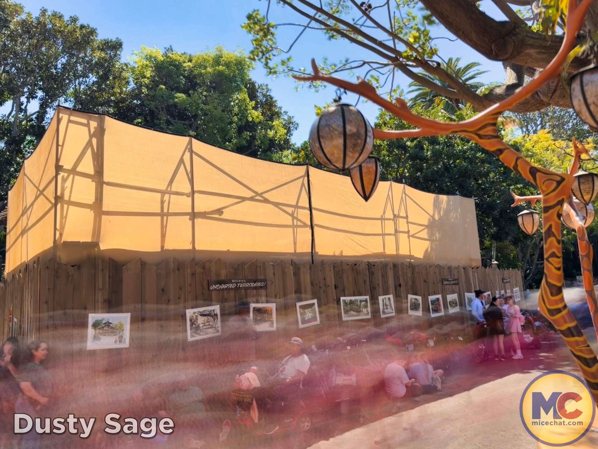 Disneyland Update, DISNEYLAND UPDATE: New Boss, Bluey Meltdown & Rising Heat!
